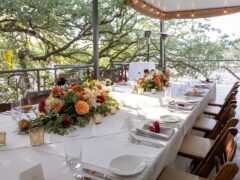 Dine under Olive & June's iconic oak tree in Austin, Texas.